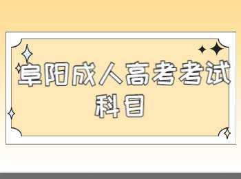 阜陽(yáng)成人高考考試科目