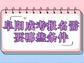 阜陽(yáng)成考