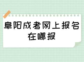 阜陽成考