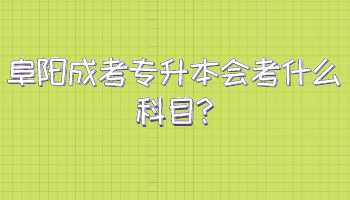 阜陽(yáng)成考專升本會(huì)考什么科目
